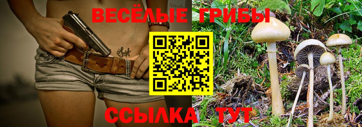 Псилоцибиновые грибы MAGIC MUSHROOMS Трёхгорный